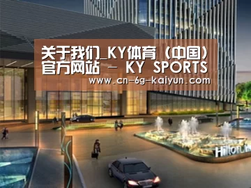 案例展示二(图1)