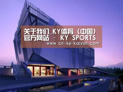 案例展示六